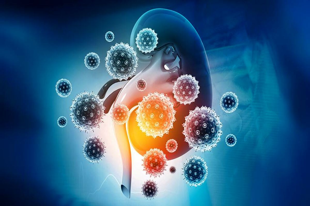 اثر مخرب کرونا بر کلیه