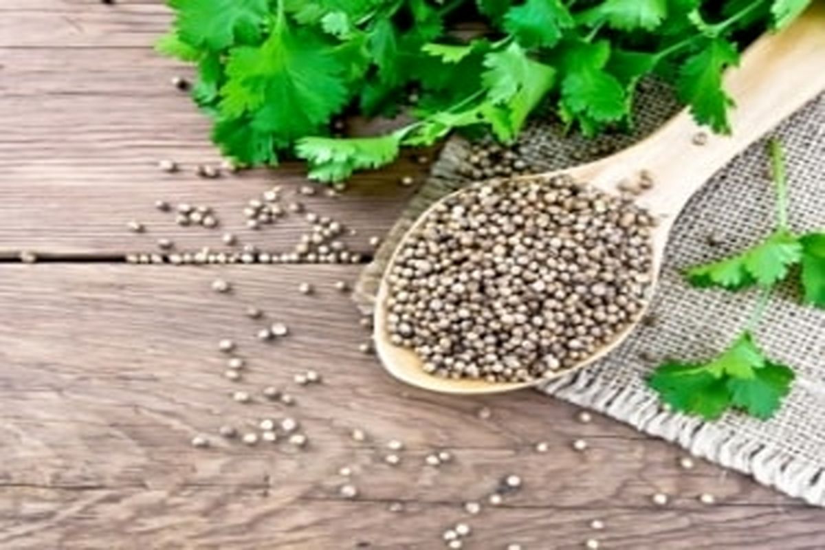 پاکسازی ریه از سرب ناشی از آلودگی هوا