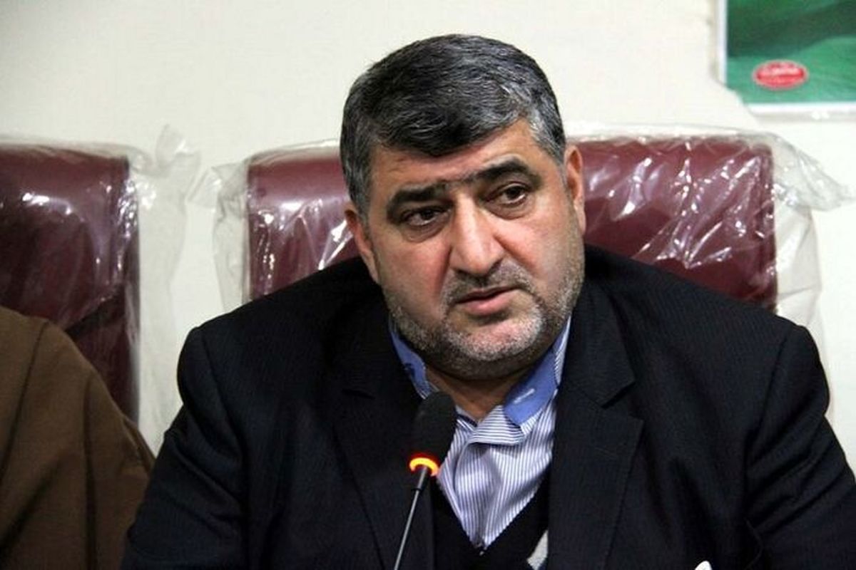 اظهار نظر جنجالی / در قرعه کشی خودرو تقلب می‌شود؟