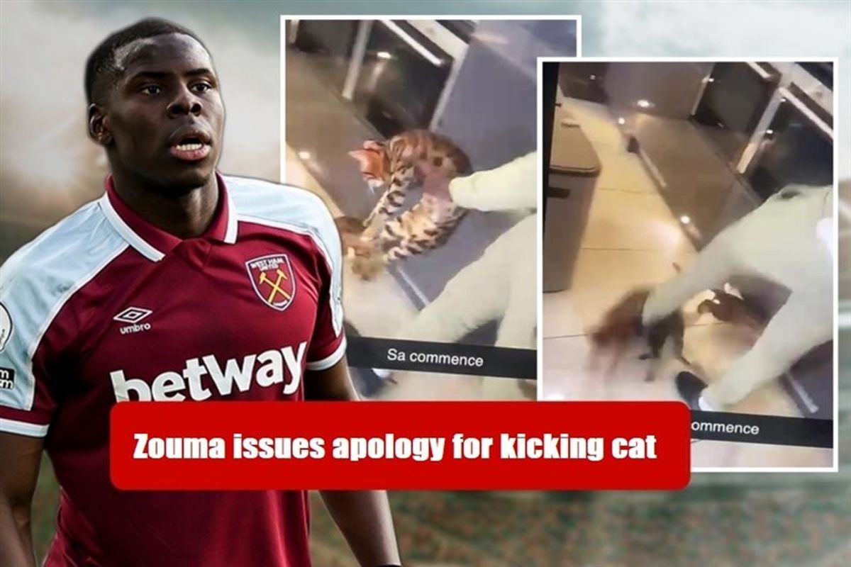 دردسر برای فوتبالیستی که گربه‌اش را شوت کرد!