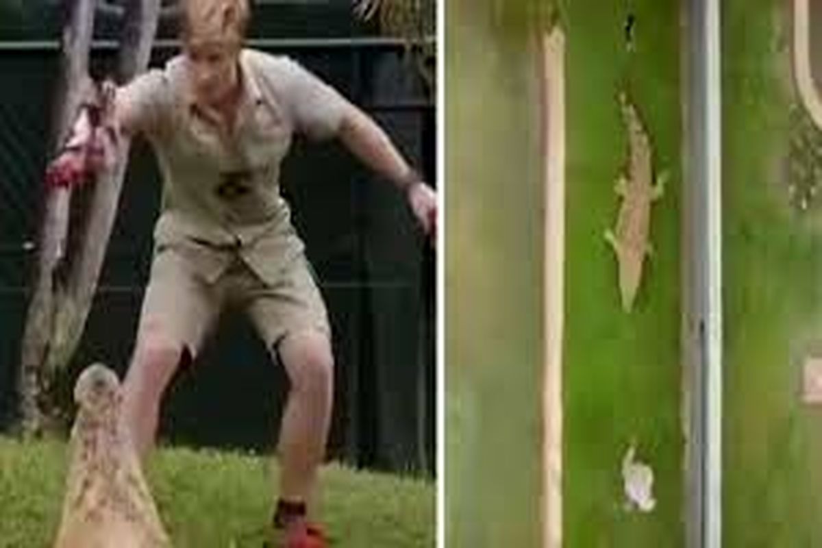 حمله کروکدیل گرسنه به پسر نوجوان