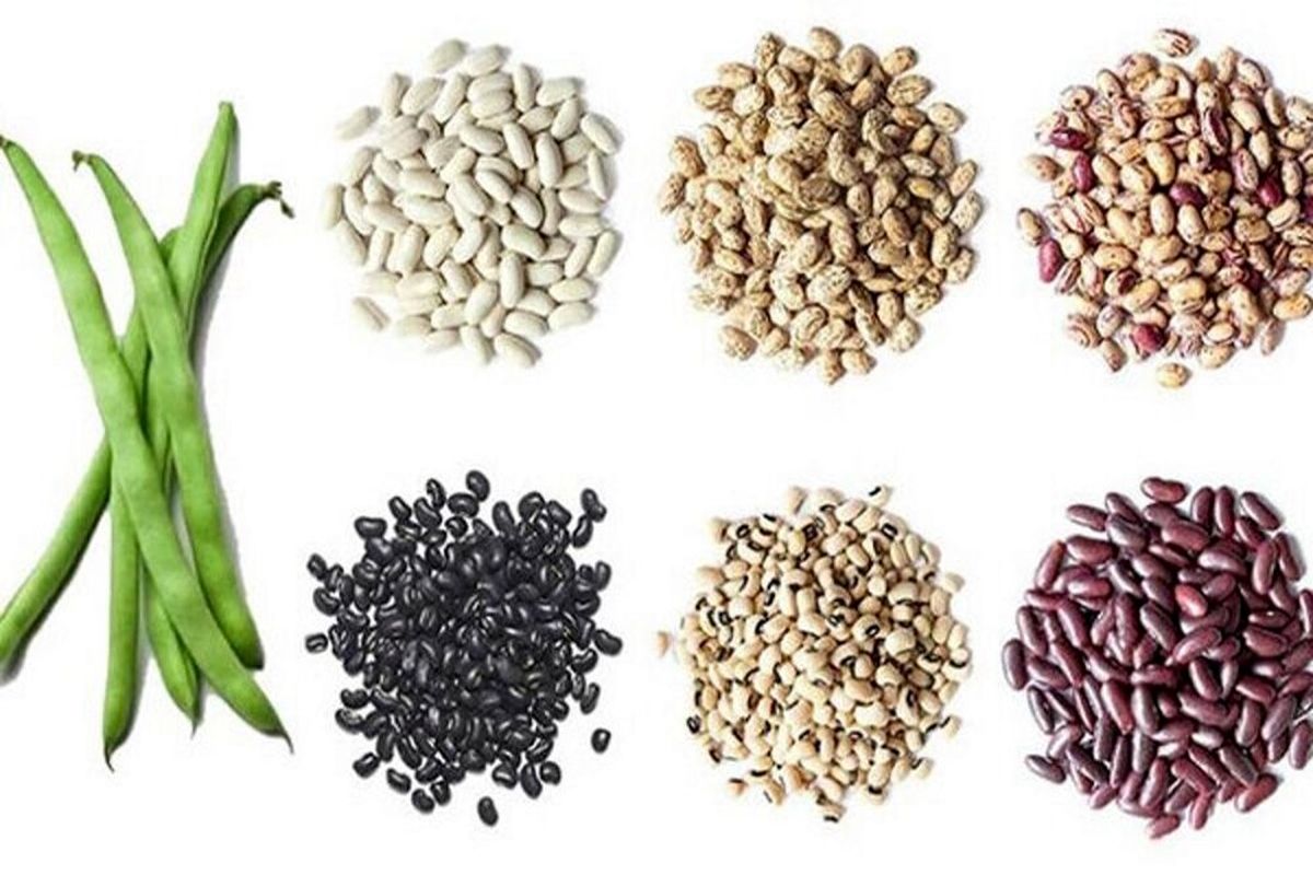 معجزه داشتن موهای پرپشت با خوردن لوبیا