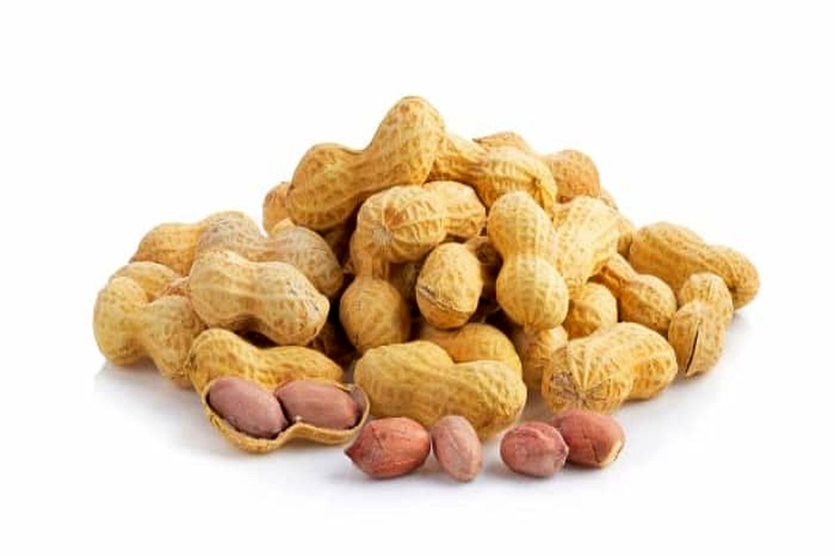 همه چیز درباره خواص با ارزش بادام زمینی