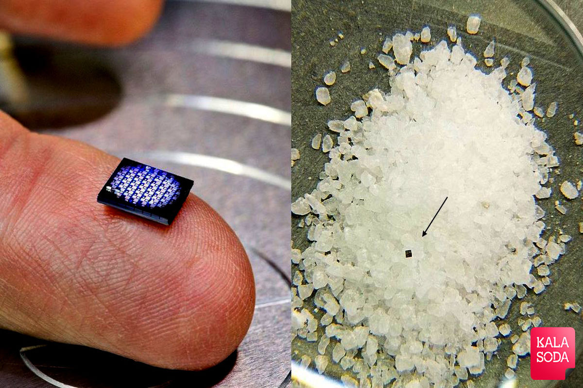 دوربینی به اندازه دانه نمک