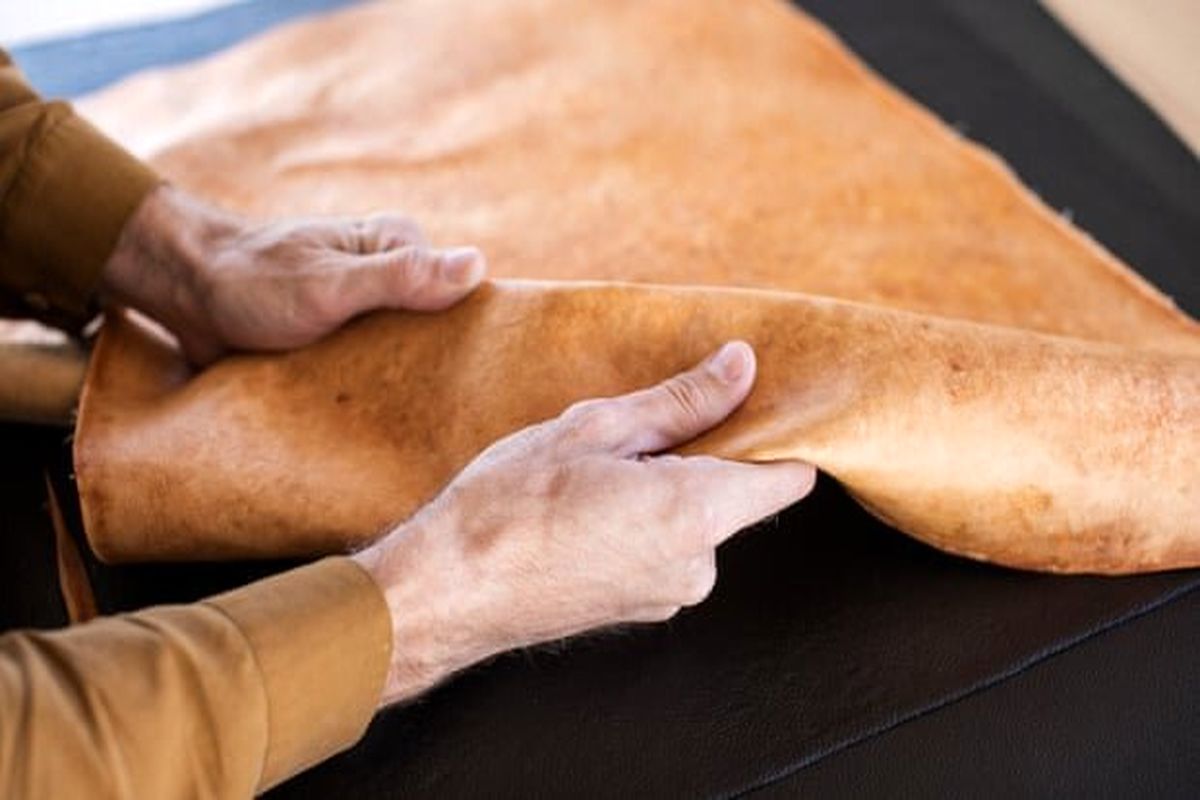 کمک چرم گیاهی به بقای بیشتر حیوانات!