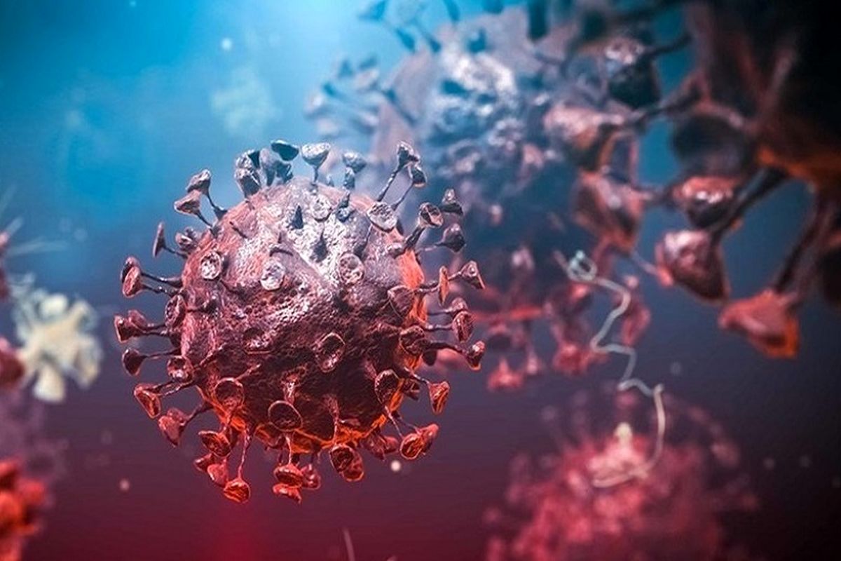 انفجار امیکرون در آفریقا / بچه ها مراقب باشند!