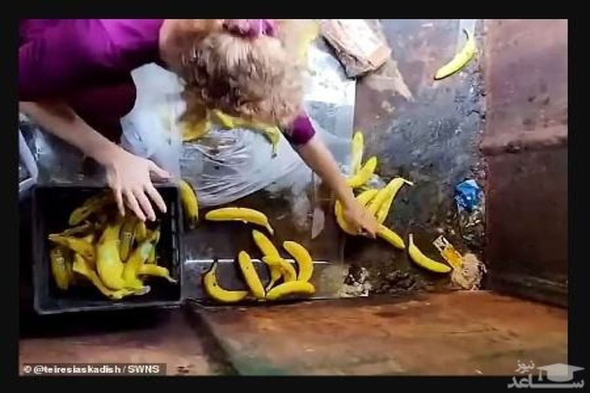 زن زباله گرد پولدار شد!