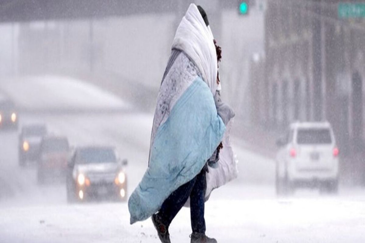 یخ زدن درختان در سرمای بی سابقه
