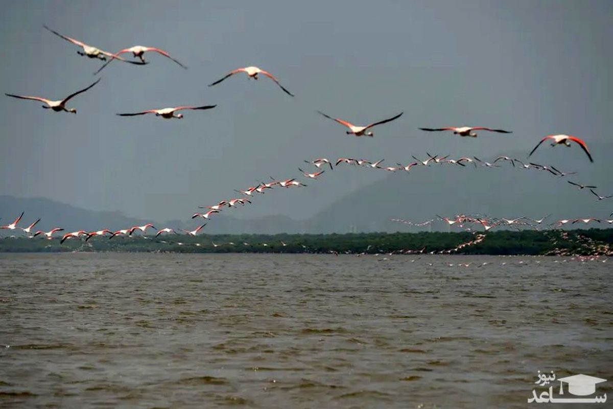 زیبایی های دنیای امروز به روایت تصویر