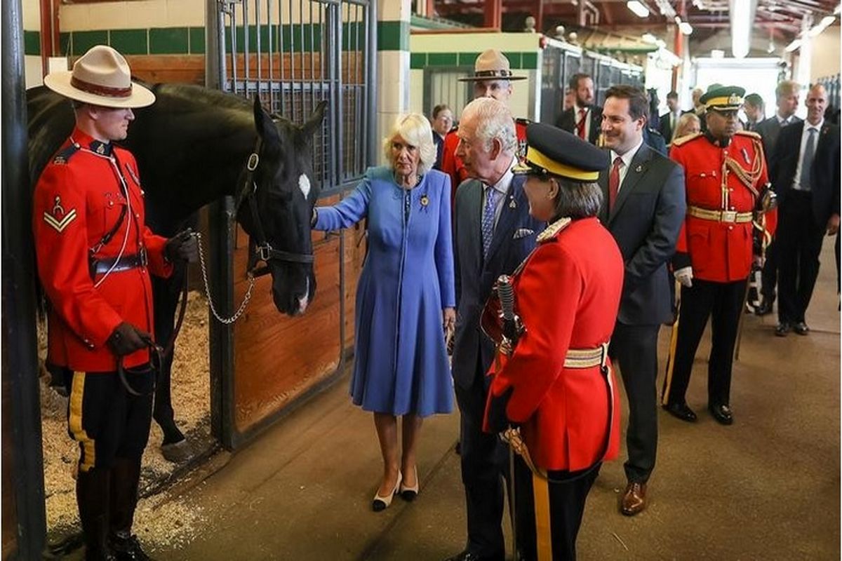 جذابیت های جهان امروز به روایت تصویر