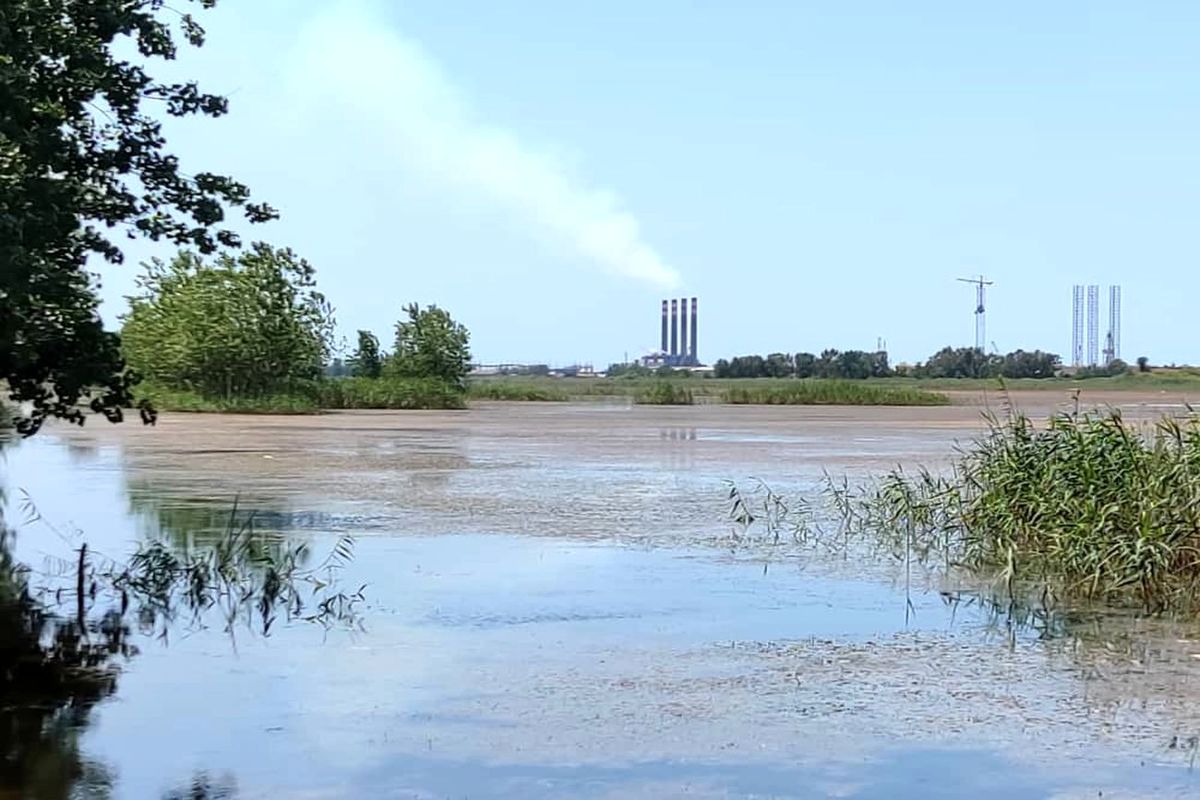 باز هم فاجعه در میانکاله + عکس