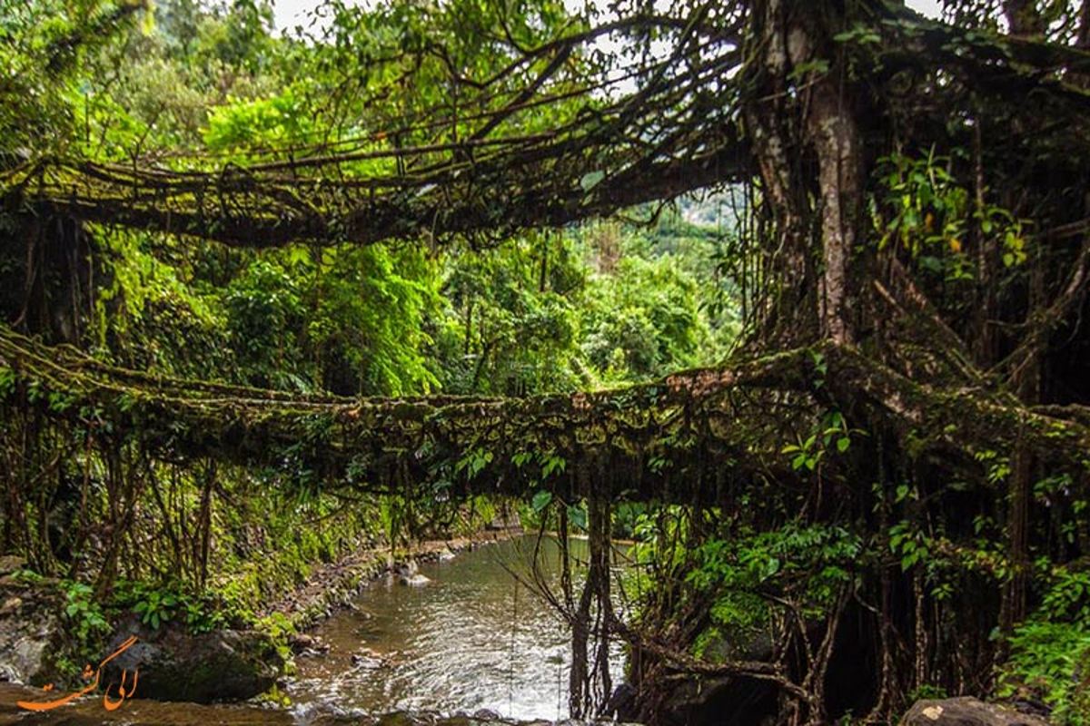پلی حیرت آور ساخته ی دست خداوند