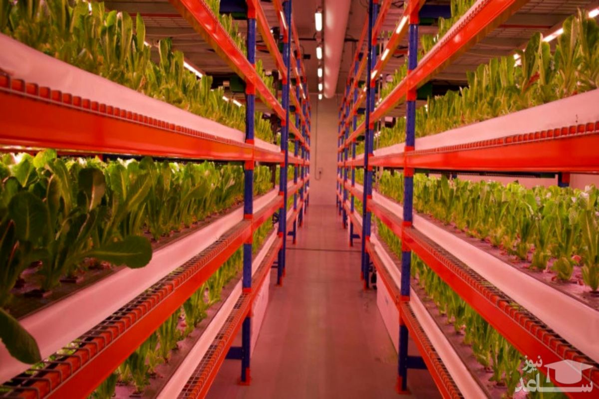 دبی در صنعتی دیگر رکورد زد