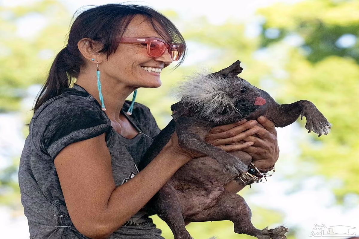 قیافه ی زشتی که خوش شانسی آورد!