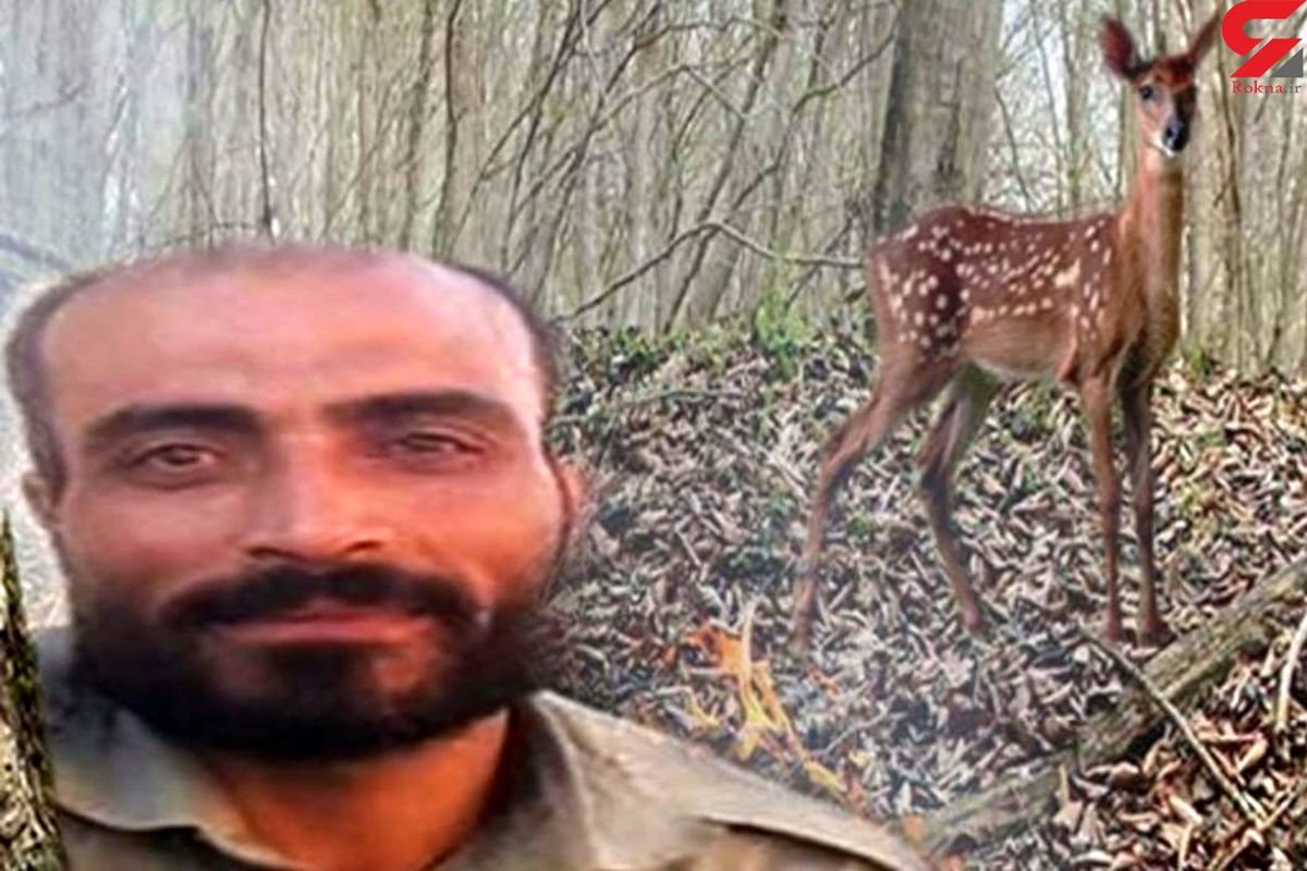 محیط بانی دیگر کشته شد