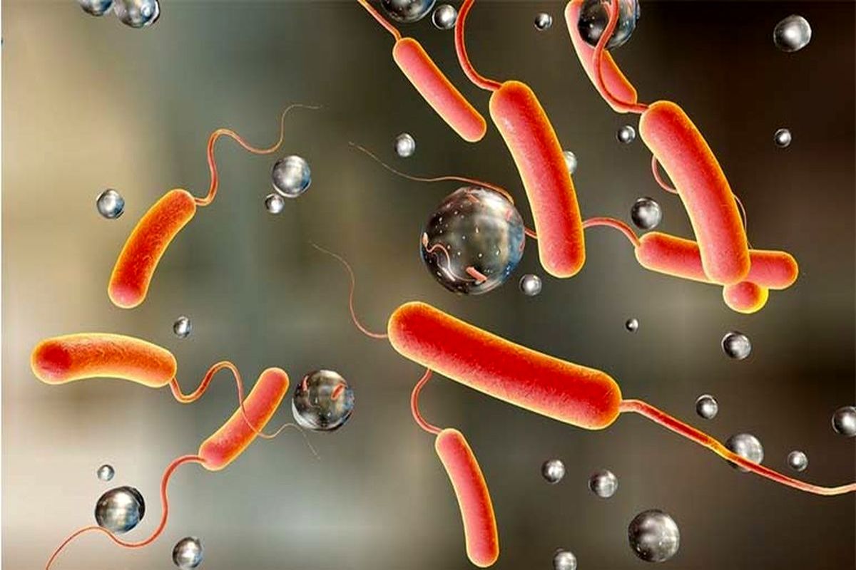 بیماری خطرناک جدید در ایلام