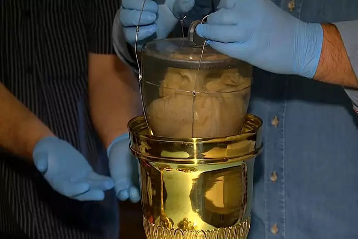 قلبی که دو قرن بدون جسم زیست