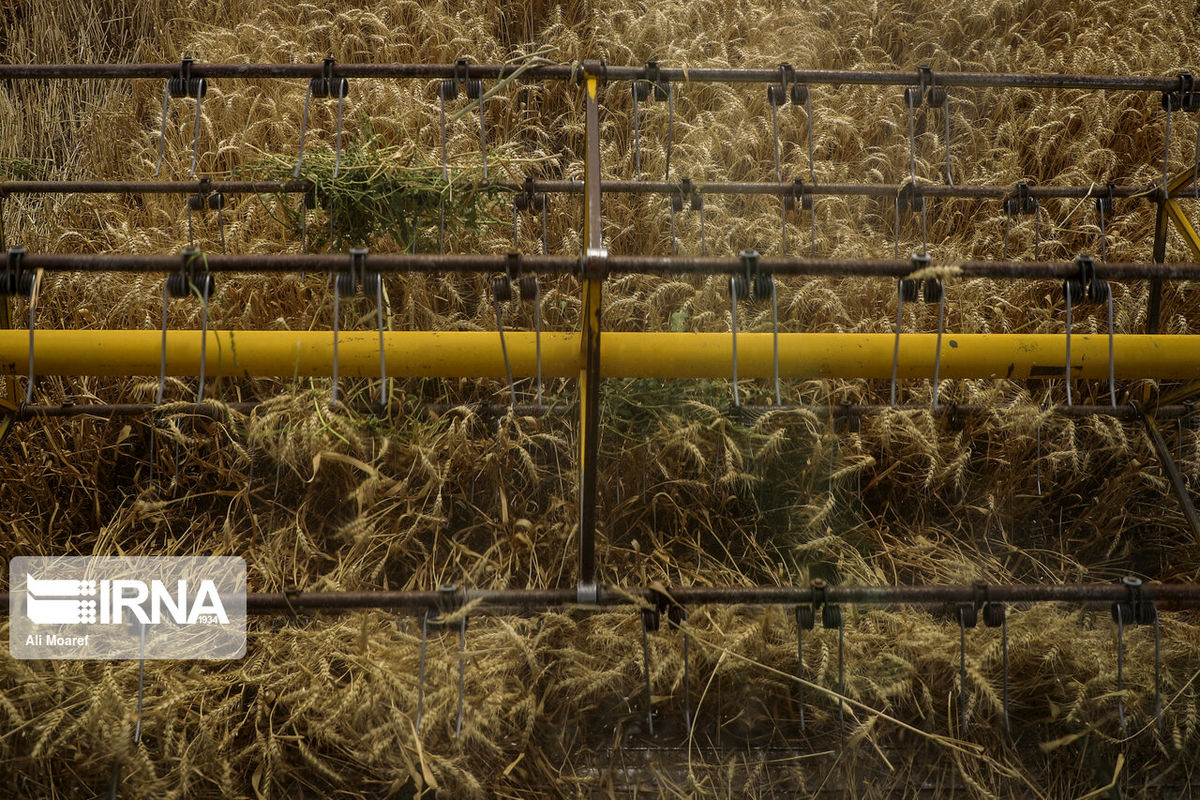 امتیازی که دولت به کشاورزان داد