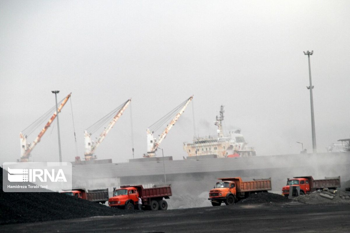 خوش به حال دامداران شد