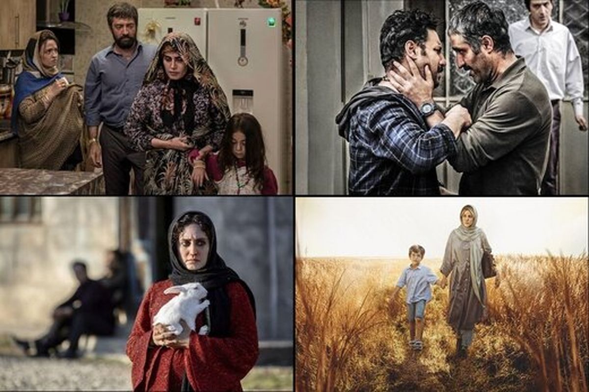 پسر دلفینی سینما را نجات داد