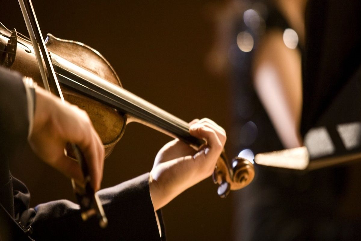 نوازنده توانمند در تجریش