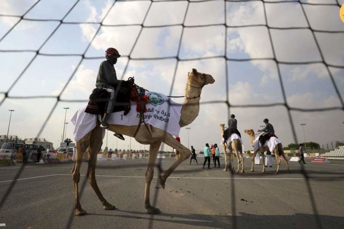 مسابقه هندبال روی شتر