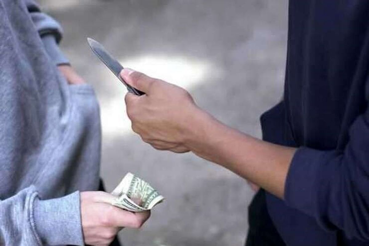 بچه نیستم و می توانم سرقت کنم!