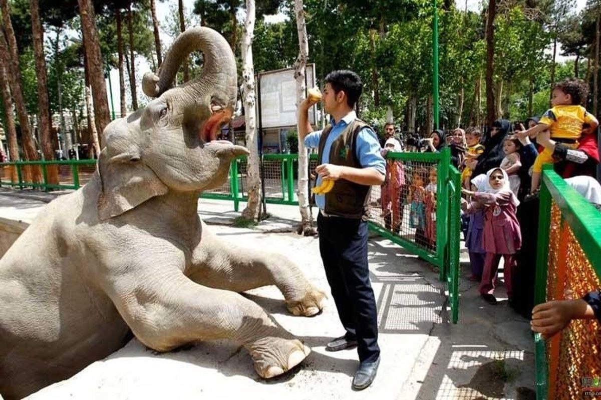 تفریح سالانه یک خانواده چقدر پول می خواهد؟ / هزینه های زندگی کفاف این تفریح ها را می دهد؟