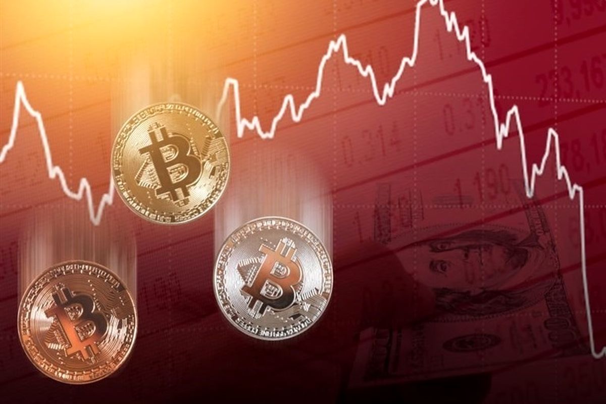 خاک مرده در  بازار ارزهای دیجیتال / شکست این ارزها  بر اساس سال راه‌اندازی