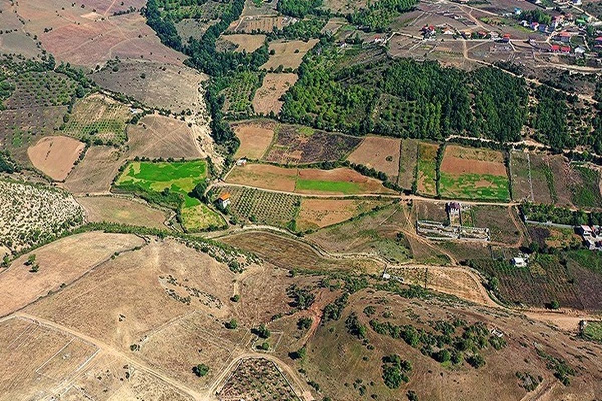 امنیت غذایی در گرو یکپارچه سازی اراضی کشاورزی / کمر کشاورزان زیر بار مالیات خم می شود