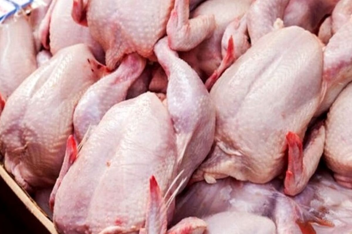 کاهش معنادار قیمت گوشت / هر کیلو سینه مرغ در بازار امروز چند ؟