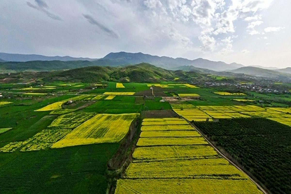 باری از دوش کشاورزان برداشته شد / تهیه نقشه اراضی کشاورزی به صورت رایگان