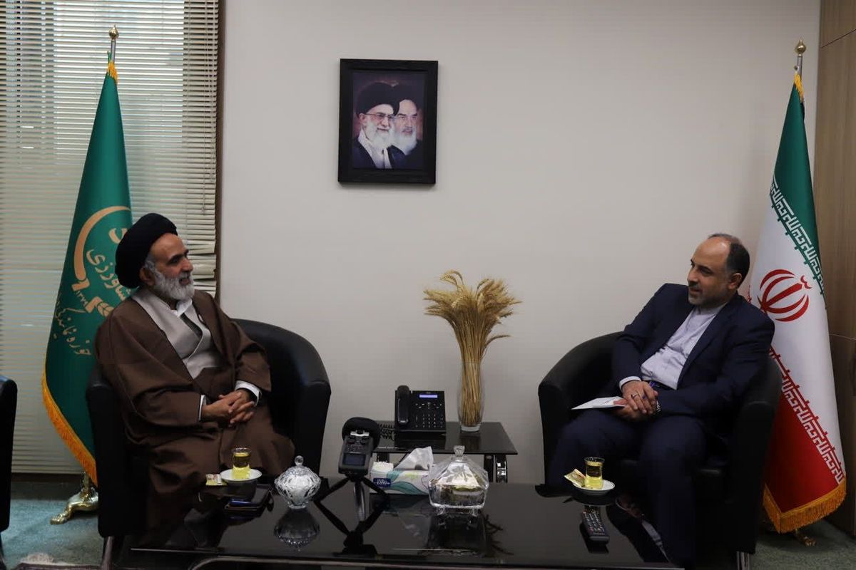 لزوم توجه ویژه به تعاملات فرهنگی میان ایران و برزیل