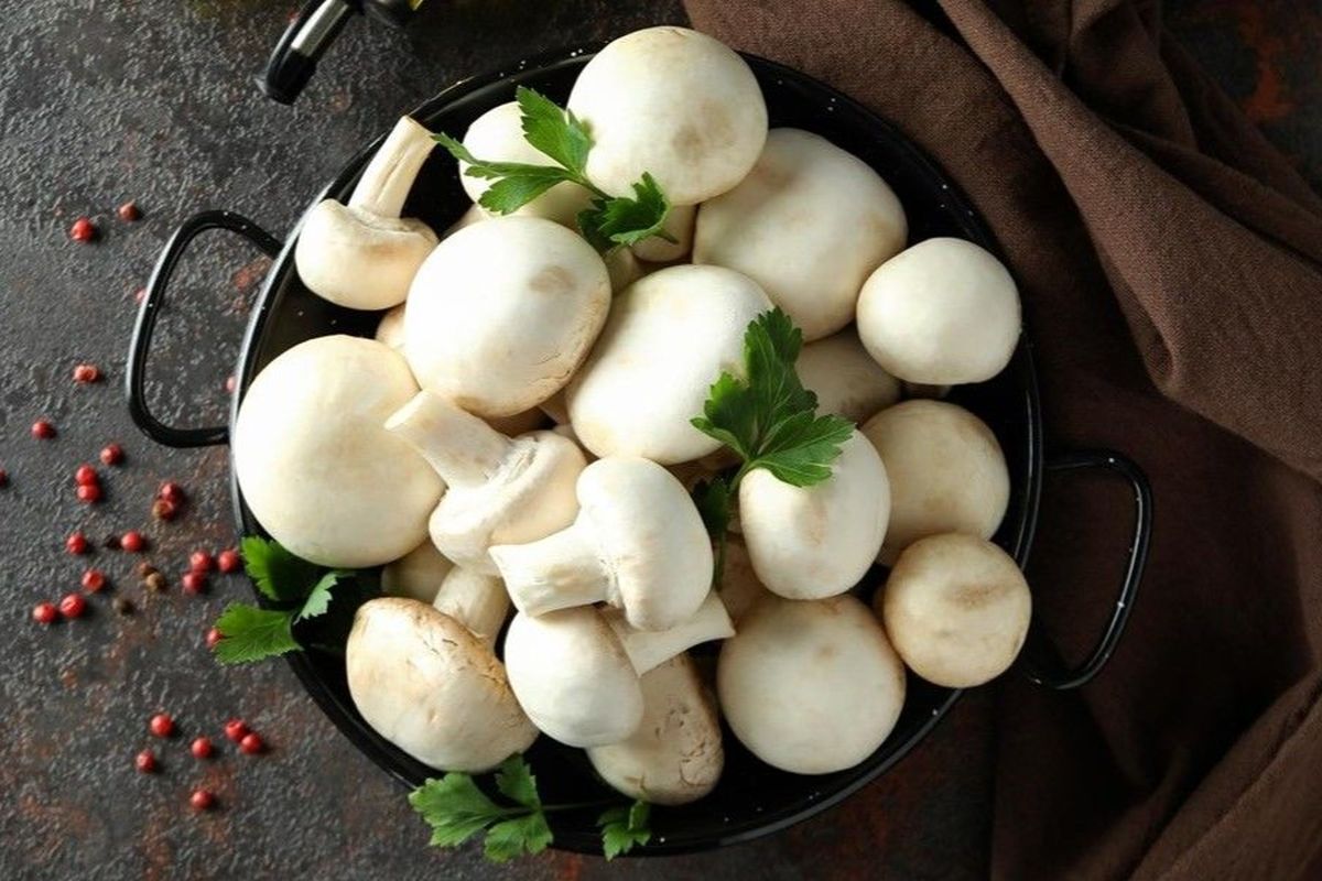 قیمت رسمی قارچ اعلام شد / این محصول را بالاتر از این قیمت نخرید