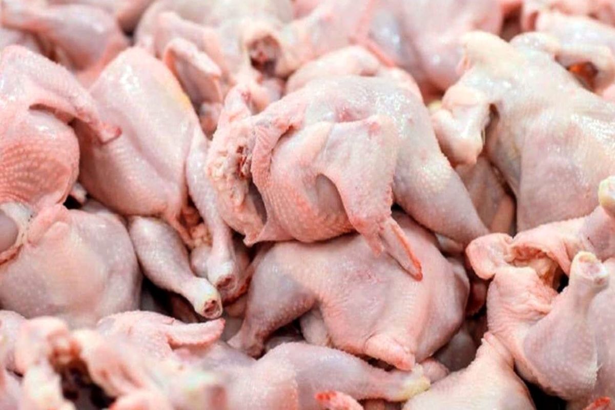 آخرین قیمت مرغ اعلام شد / هر بسته ران مرغ در بازار چند؟