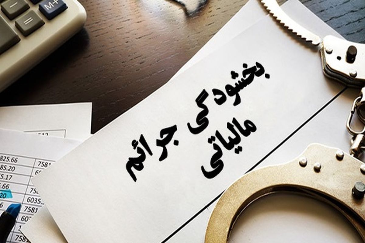 مژده سازمان امور مالیات به فعالان اقتصادی / بخشودگی ۱۰۰ درصدی جرایم مالیاتی تمدید شد