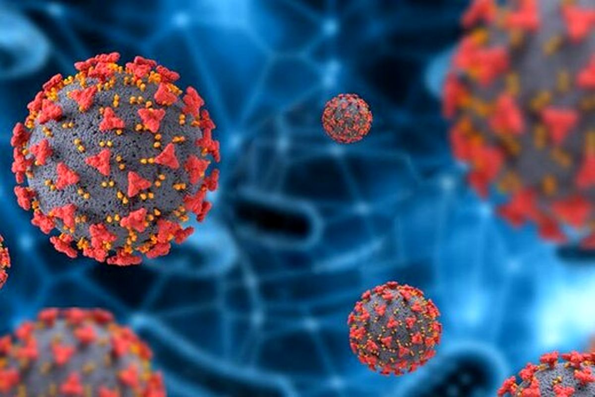 بعد از کرونا نوبت طغیان این ویروس شد!