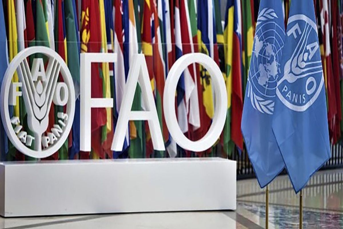 هشدار فائو درباره آفت در ایران