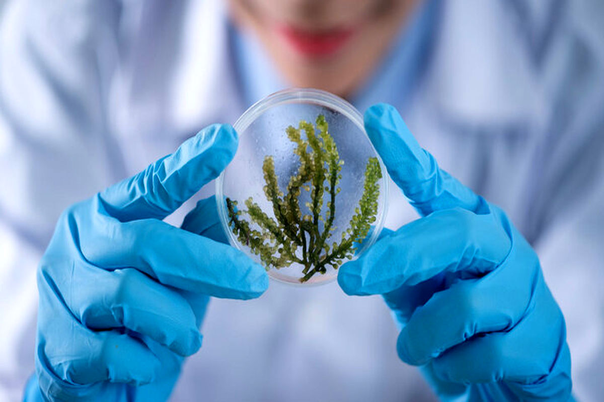 تحولی عظیم و بنیادی در حوزه کشاورزی