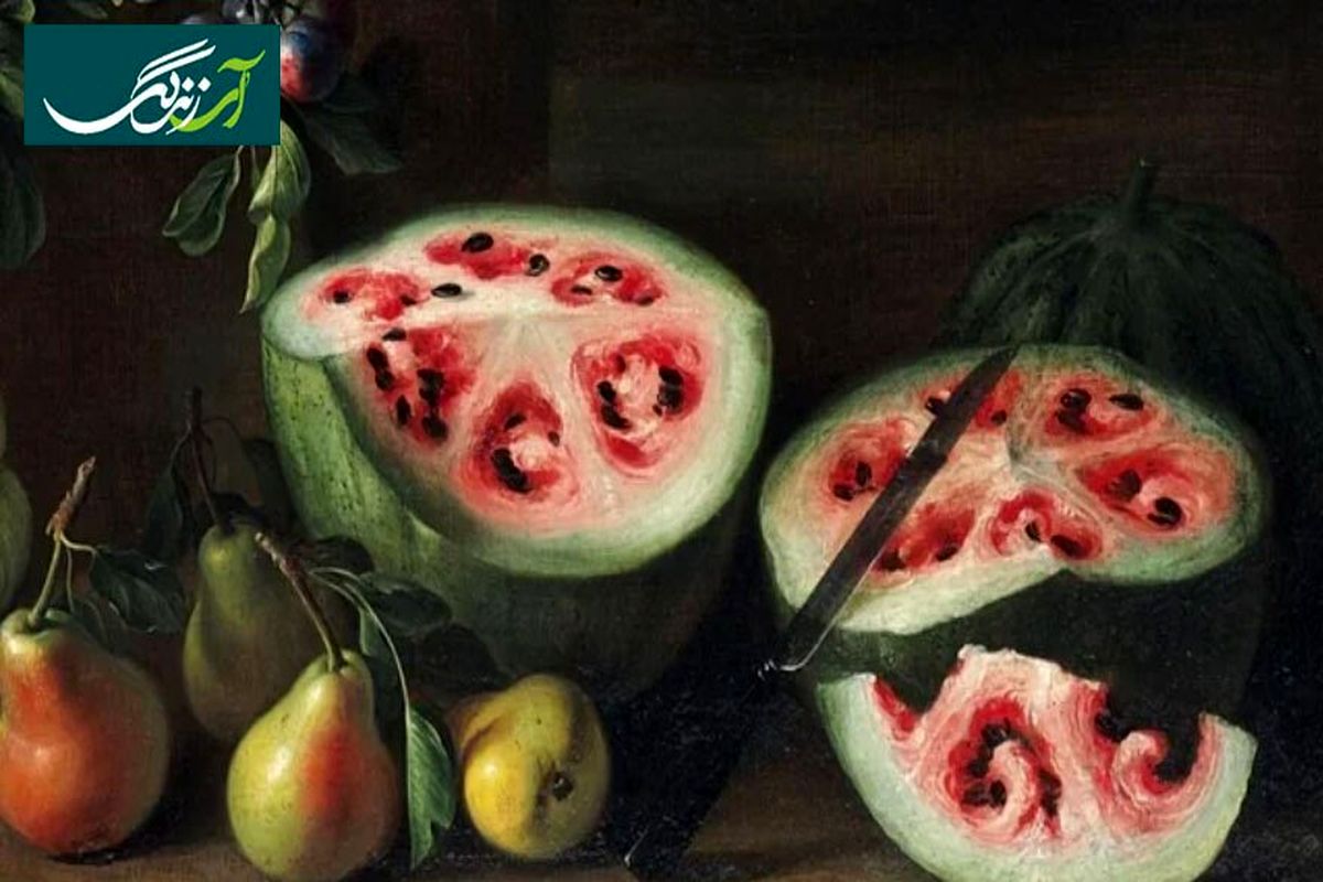 هندوانه‌های ۴۰۰ سال قبل این شکلی بودند + عکس