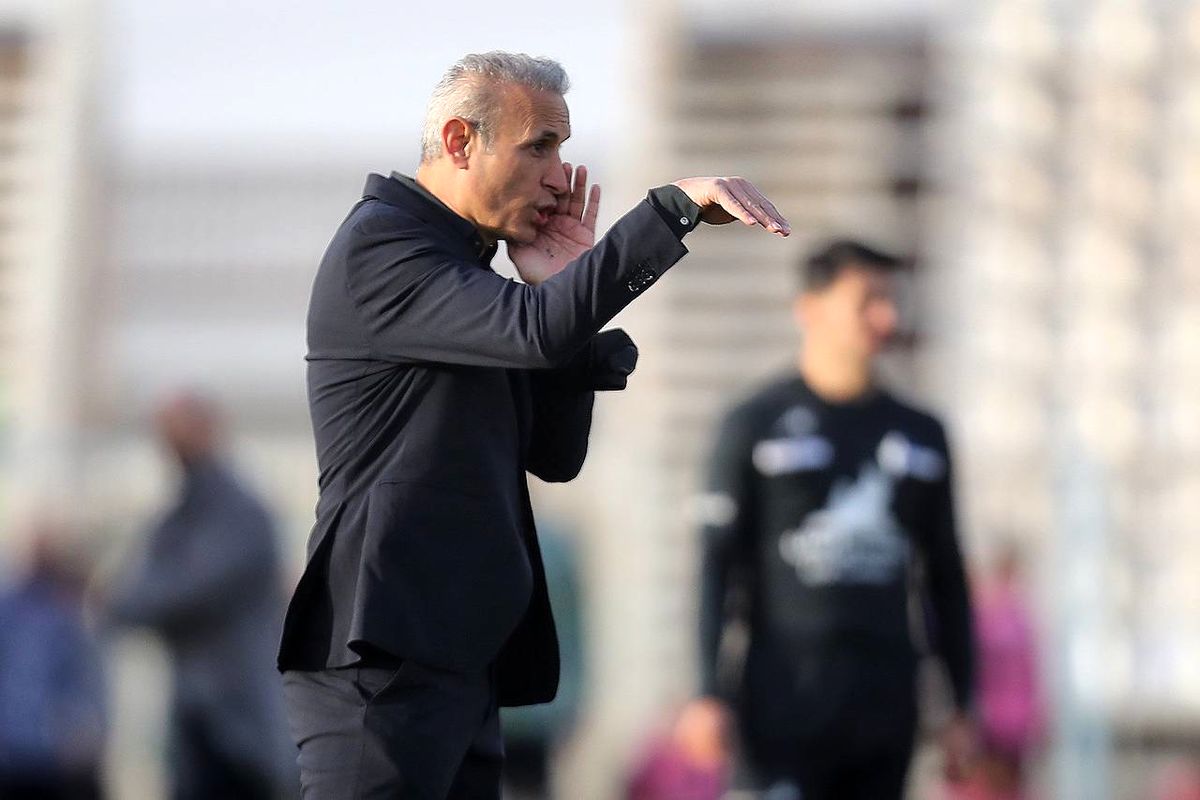 پیشنهاد وسوسه‌انگیز برای گل‌محمدی