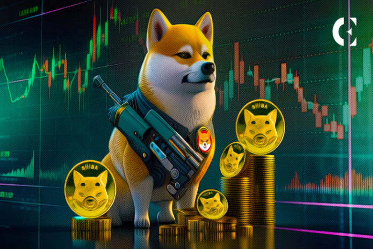 چرا «شیبا دوج» دل سرمایه گذاران را ربود
