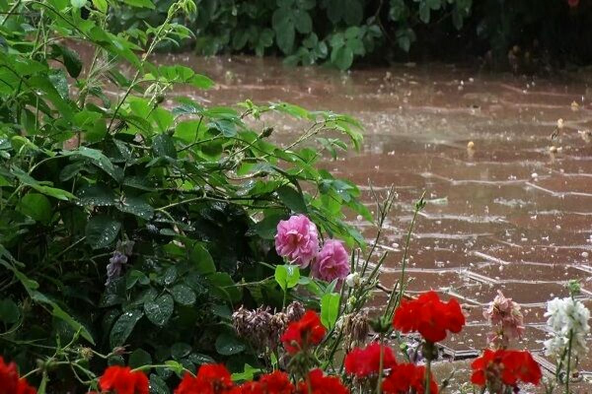 رگبار باران و وزش باد در اکثر نقاط کشور