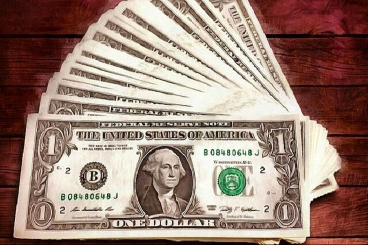 حمایت دولت از بانک مرکزی در روند کنترل بازار ارز مثبت است