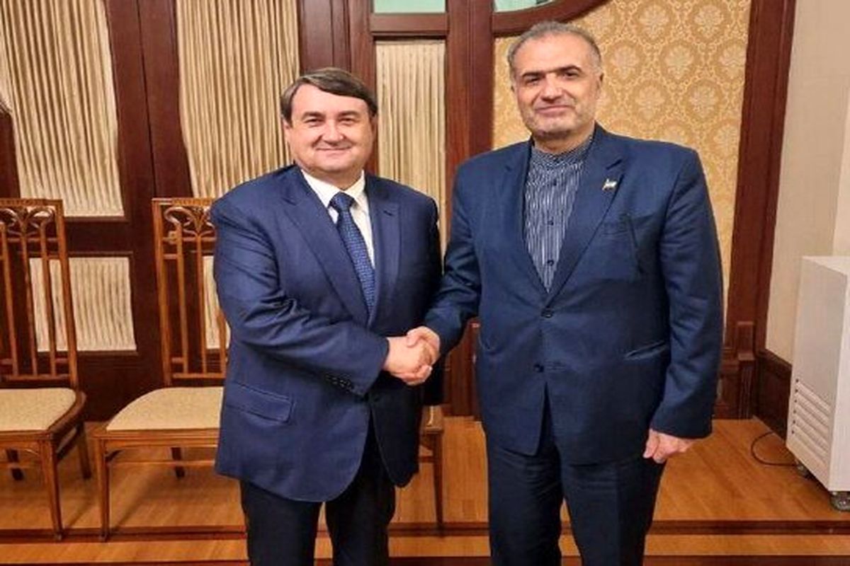 دیدار سفیر ایران با دستیار رییس جمهور روسیه