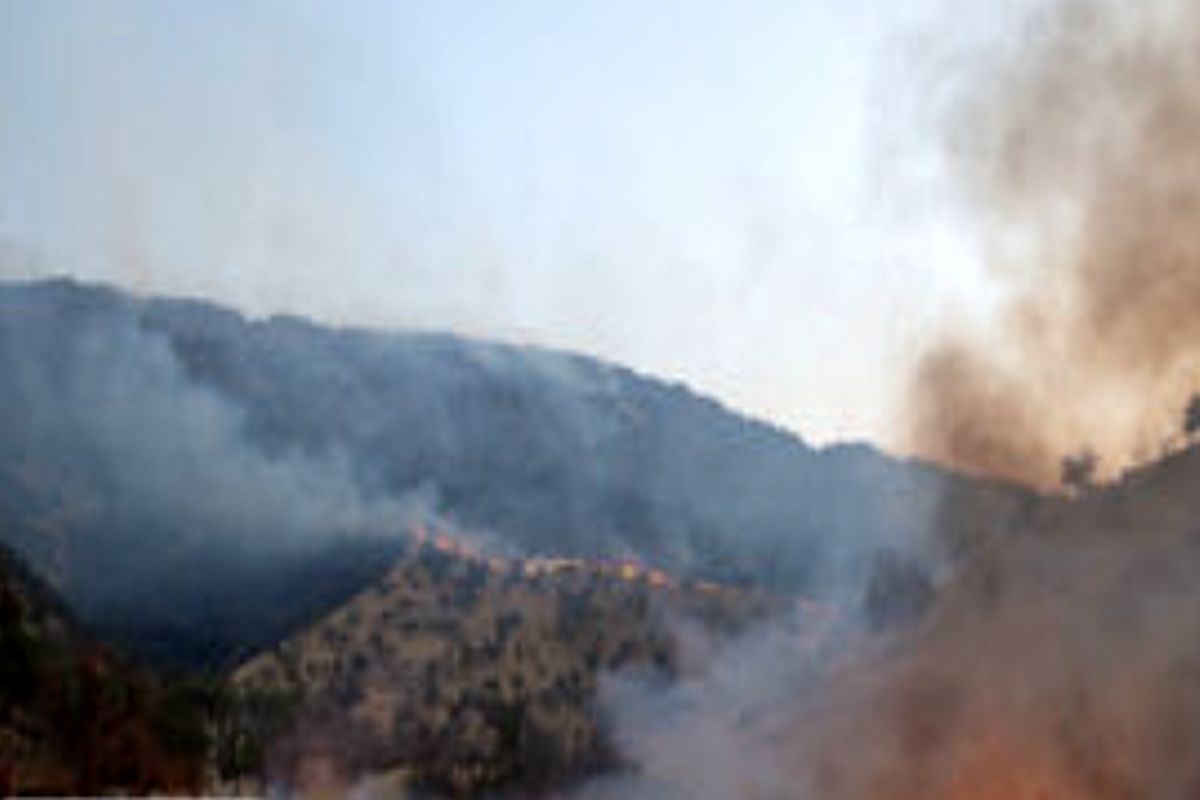 هشدار آتش‌سوزی در عرصه‌های جنگلی مازندران
