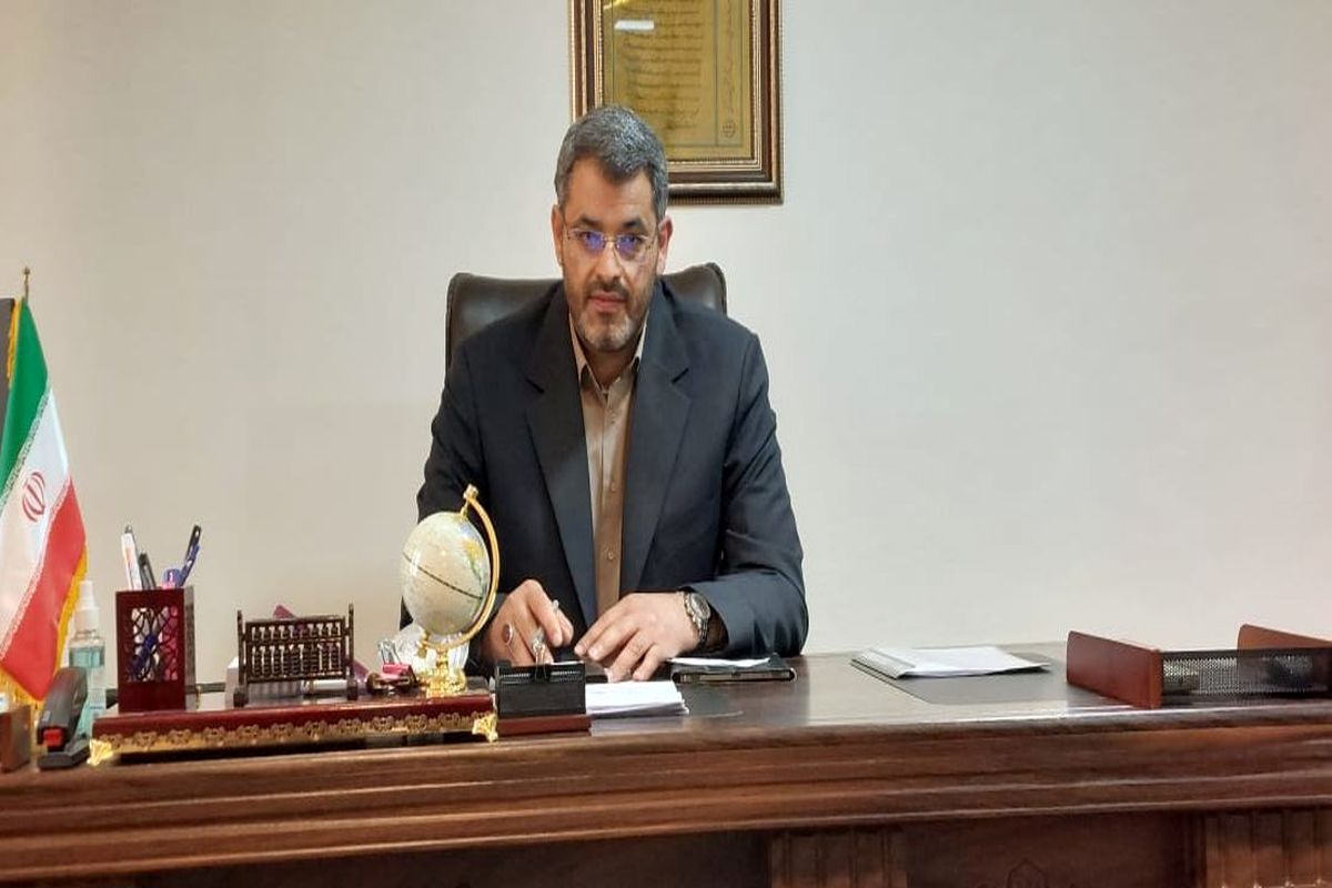 مرغ به قیمت واقعی بازگشت