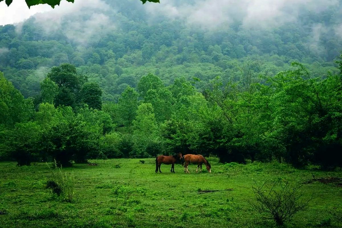 اگر این مناظر را نبینید نصف عمرتان بر فناست + تصاویر