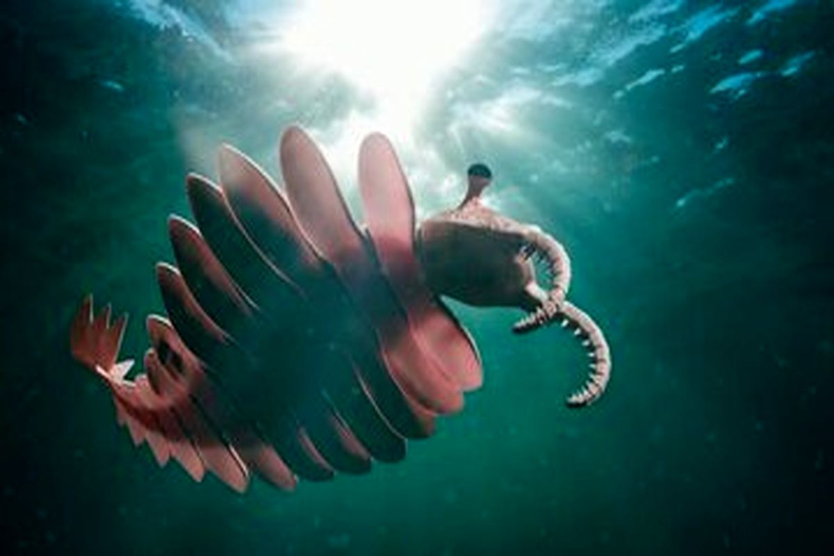 اولین ابرشکارچی روی زمین لو رفت!