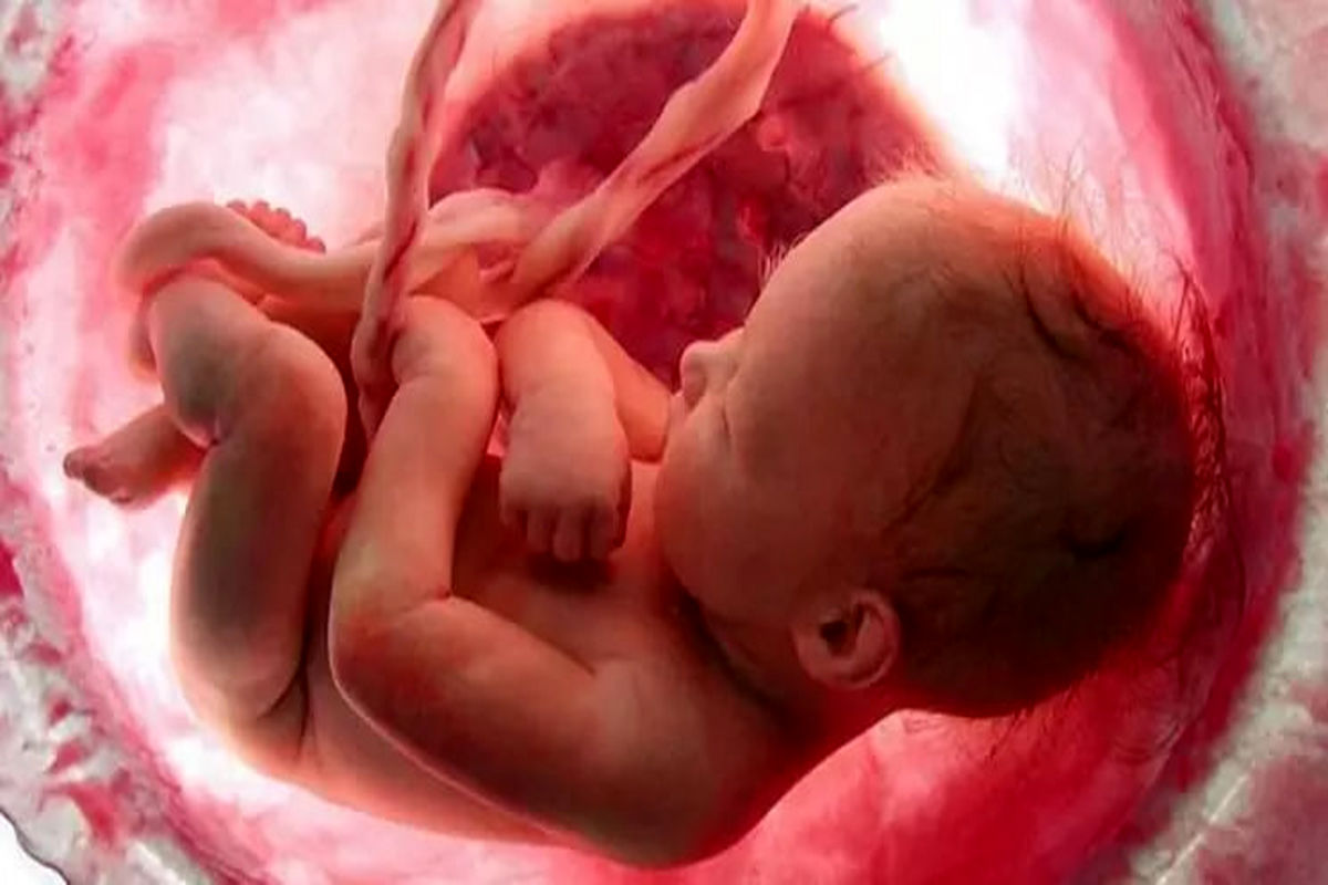 مادرانِ باردار حتما مراقب این تست خطرناک باشند!